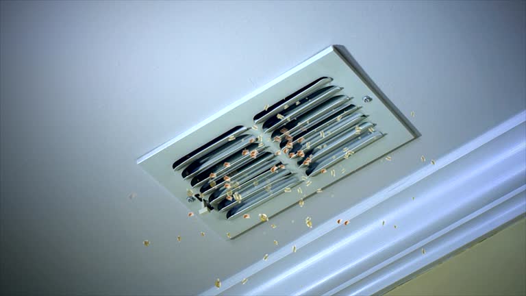 Best HVAC Duct Inspection Services  in Bedford, VA